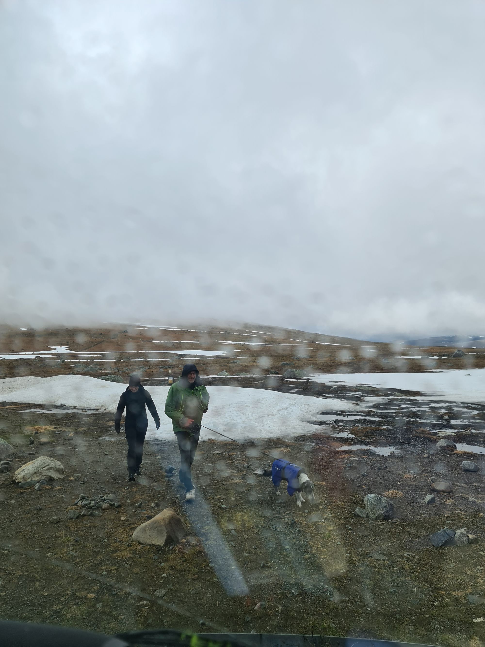 Nosen100 50k Race Report