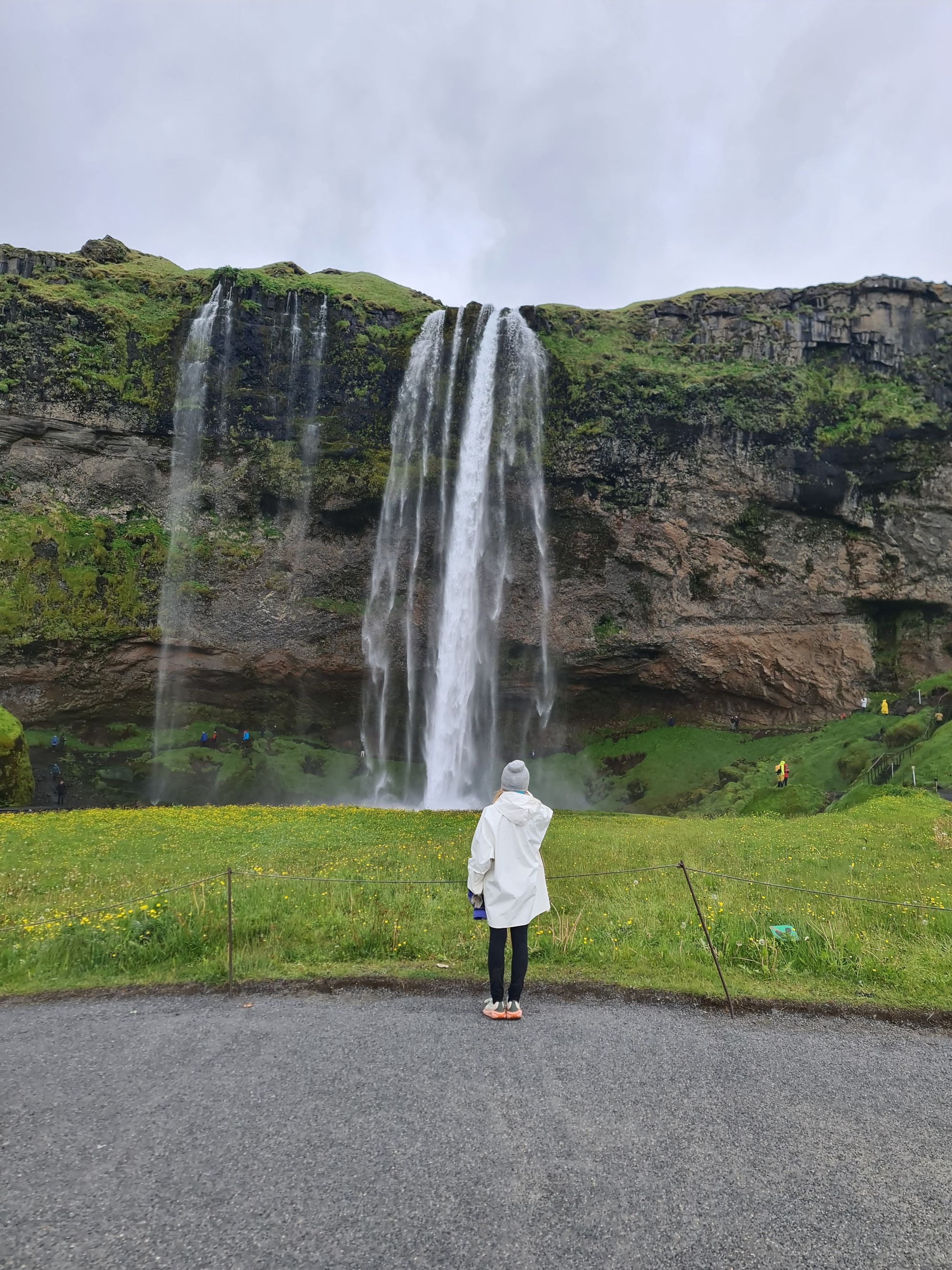 Dyrfjallahlaup 50 k Race Report