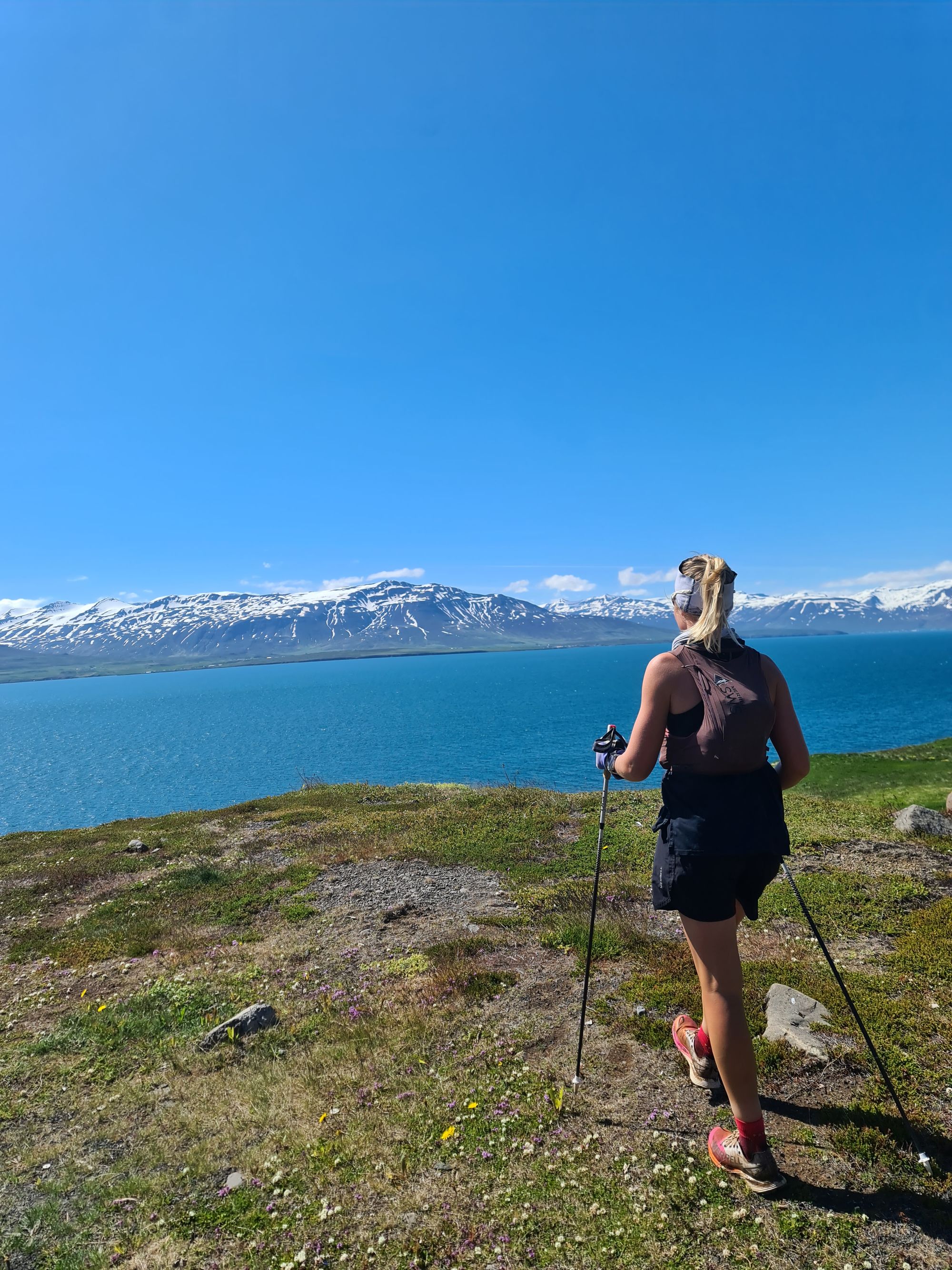 Dyrfjallahlaup 50 k Race Report